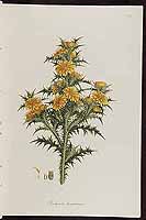  no thumbnail available