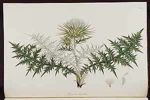  no thumbnail available