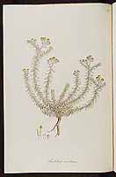  no thumbnail available