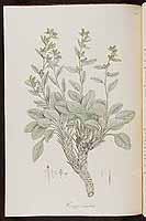  no thumbnail available