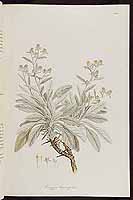  no thumbnail available