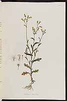  no thumbnail available