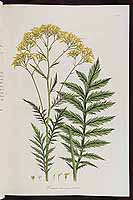  no thumbnail available