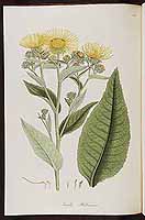  no thumbnail available