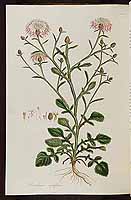  no thumbnail available