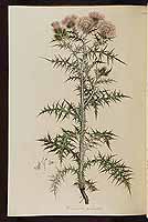  no thumbnail available