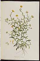  no thumbnail available