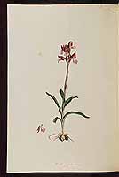  no thumbnail available