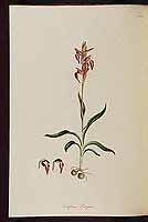  no thumbnail available