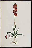  no thumbnail available