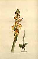  no thumbnail available