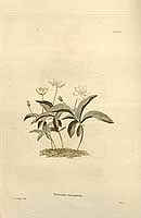  no thumbnail available