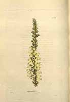  no thumbnail available