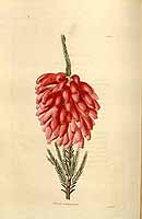  no thumbnail available