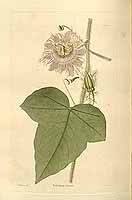  no thumbnail available