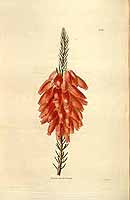  no thumbnail available