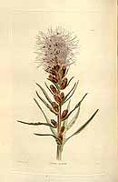  no thumbnail available