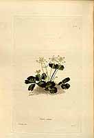  no thumbnail available