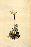  no thumbnail available