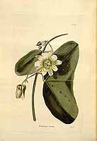  no thumbnail available