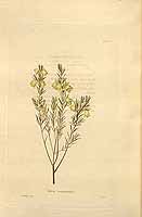  no thumbnail available