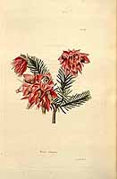  no thumbnail available