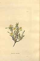  no thumbnail available