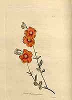  no thumbnail available