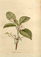  no thumbnail available