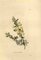  no thumbnail available