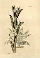  no thumbnail available