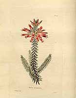  no thumbnail available