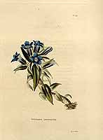  no thumbnail available