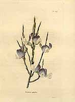  no thumbnail available