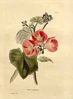  no thumbnail available