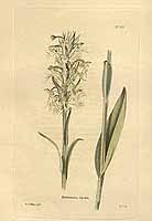  no thumbnail available