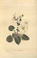  no thumbnail available