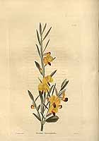  no thumbnail available