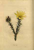  no thumbnail available