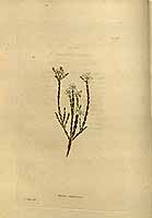  no thumbnail available