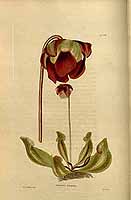  no thumbnail available