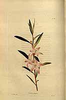  no thumbnail available