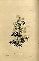  no thumbnail available