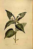  no thumbnail available