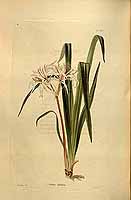  no thumbnail available