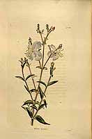  no thumbnail available