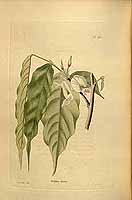  no thumbnail available