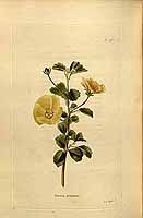  no thumbnail available