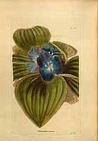  no thumbnail available