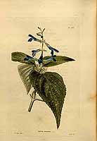  no thumbnail available